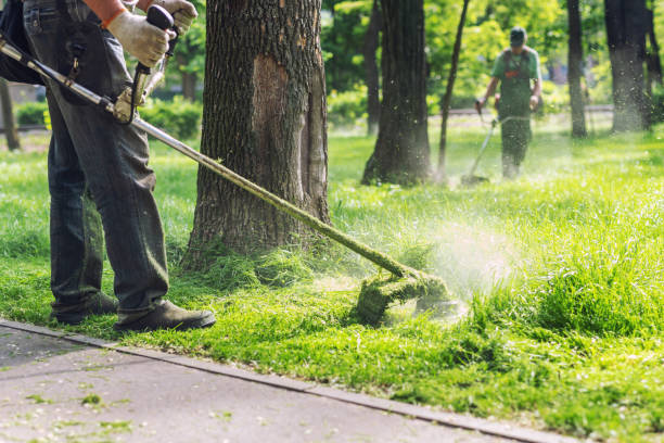 Garden Services Pretoria, Garden Services Brits